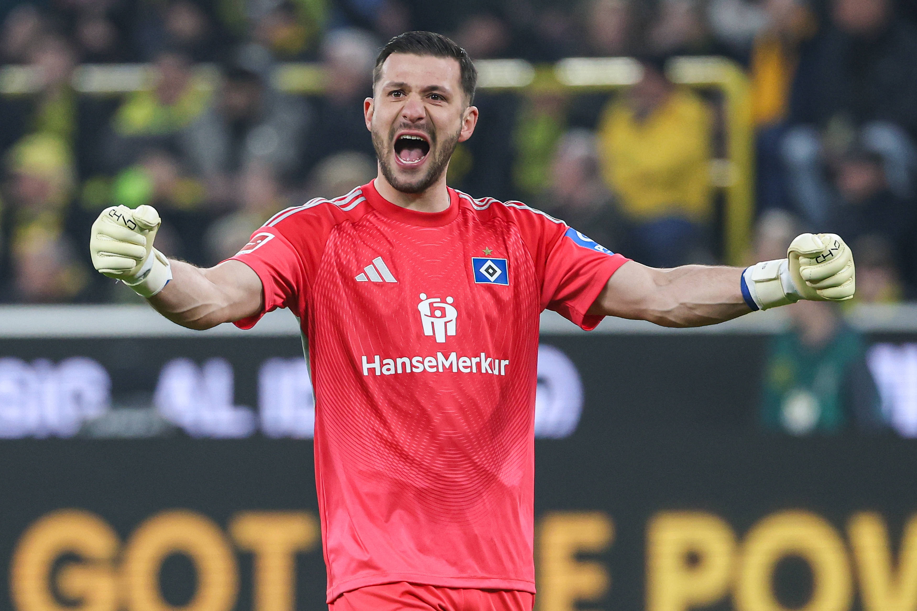 九游体育-图片报：为下赛季寻找二号门将，拜仁有意汉堡33岁老将费尔南德斯